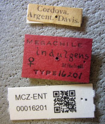 Media type: image;   Entomology 16201 Aspect: labels